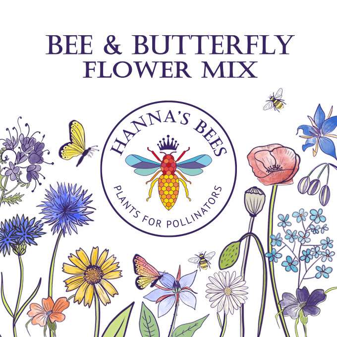 Hanna’s Bees - Bee and Butterfly Flower Mix