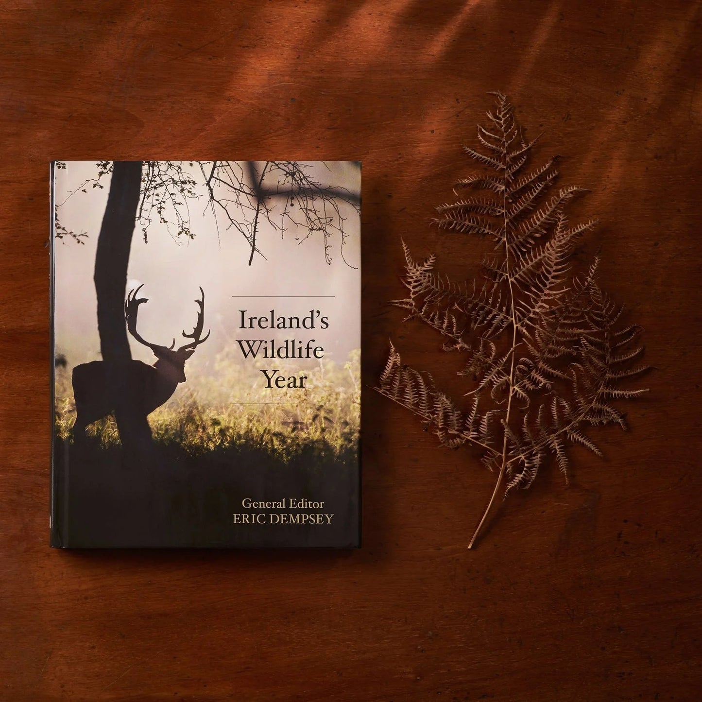 Book titled 'Ireland's Wildlife Year' with a deer silhouette on a wooden surface.
