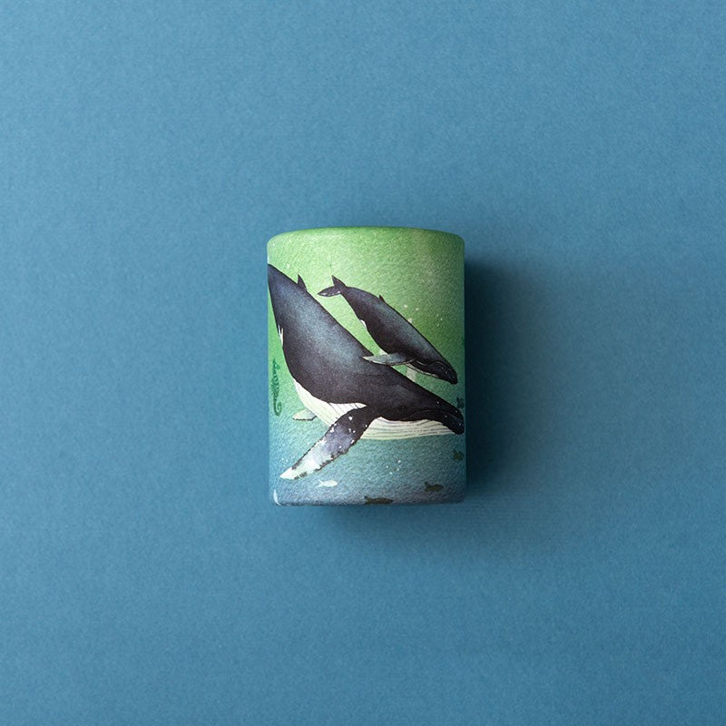 Mini kaleidascope - ocean & whales