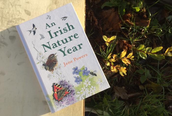 An Irish Nature Year