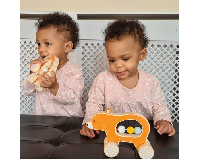 Push along Hedgehog - FSC certified