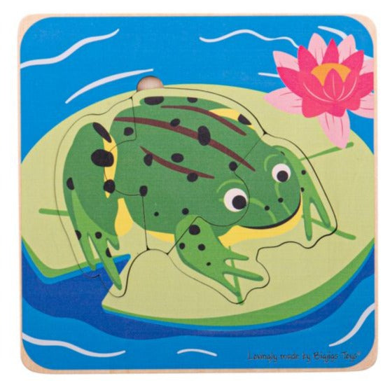 Frog Lifecycle Layer Puzzle