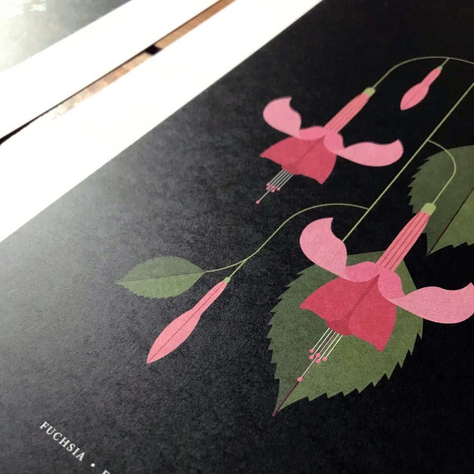 Fuschia Print by Sally Caulwell