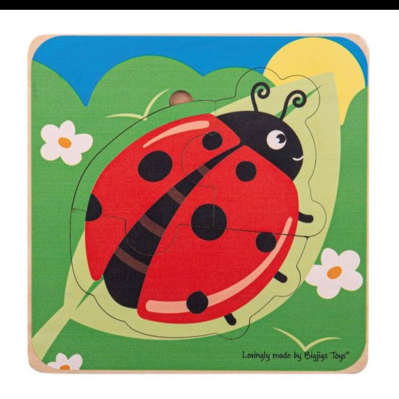 Ladybird Lifecycle Layer Puzzle