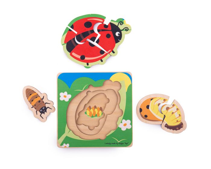 Ladybird Lifecycle Layer Puzzle
