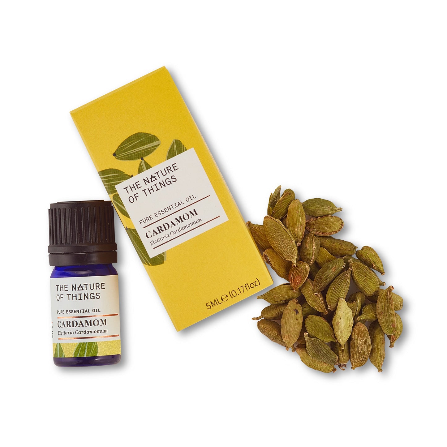 Cardamom Essential Oil