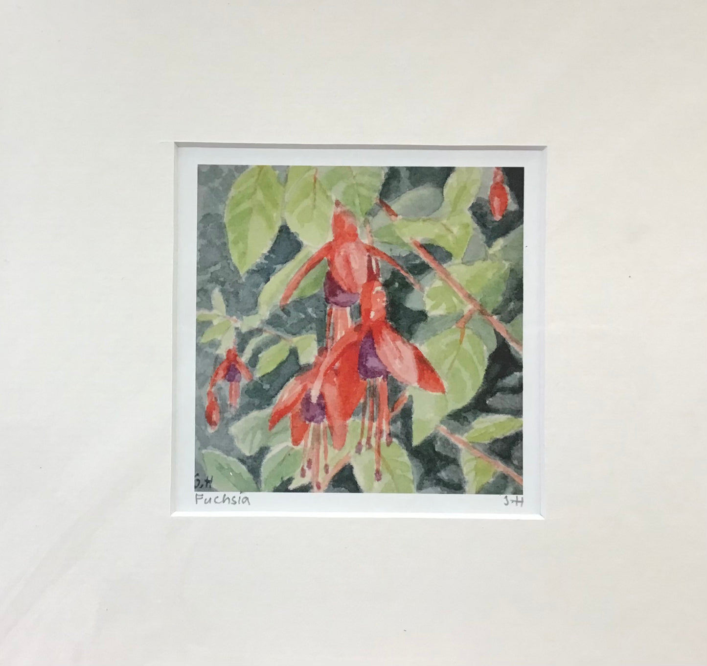 Sara Hodson Prints