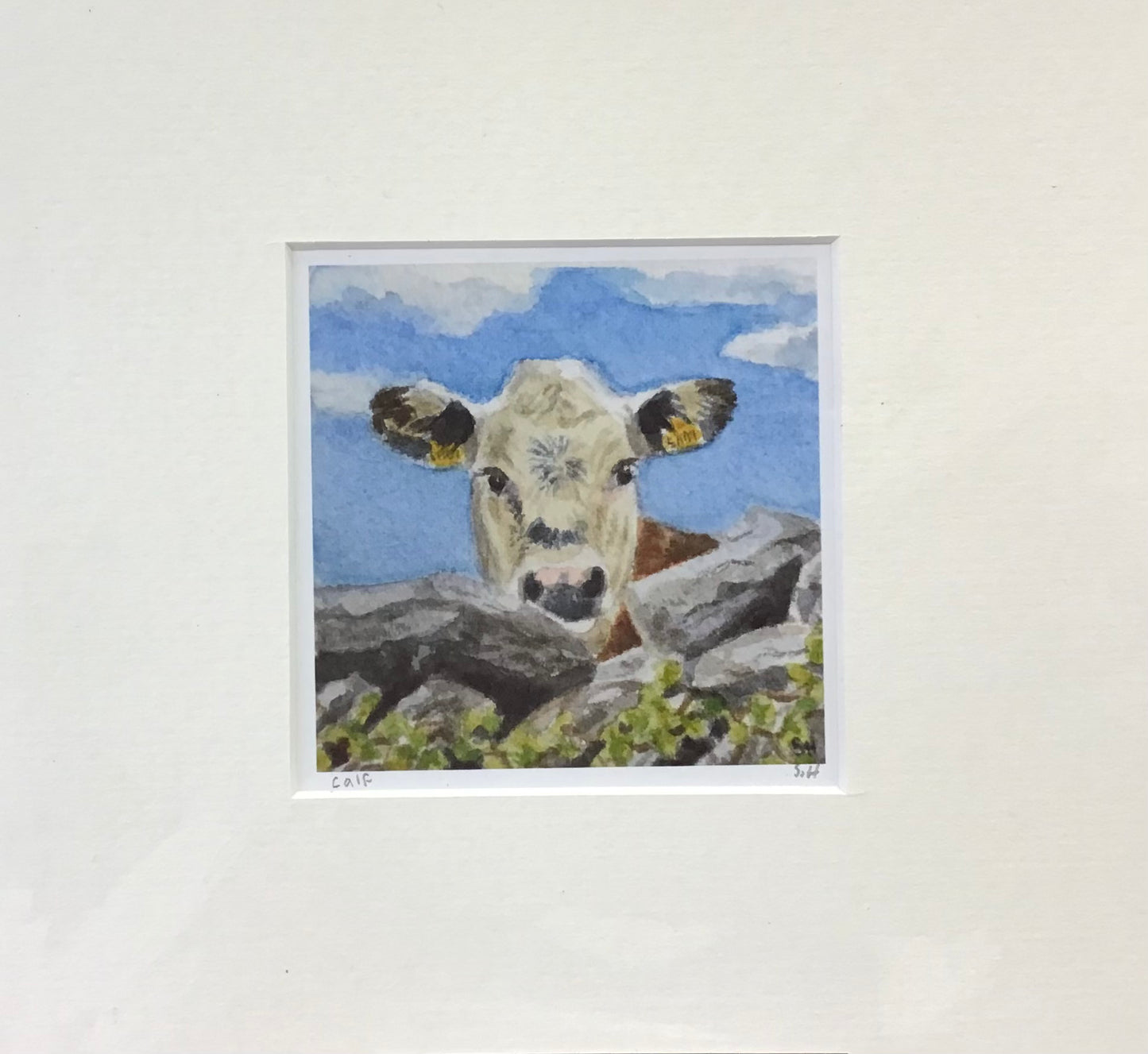 Sara Hodson Prints