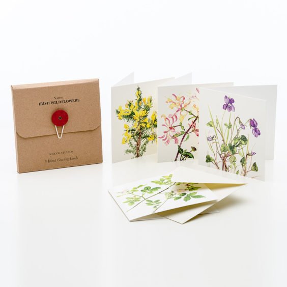 Irish Wildflowers - 6 pack of greetings cards - Kilcoe Studios