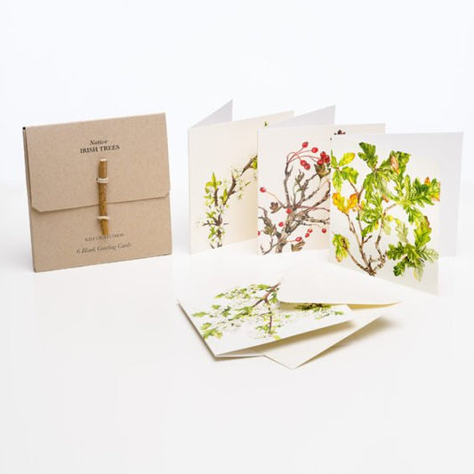 Native Irish Trees - 6 pack of greetings cards - Kilcoe Studios