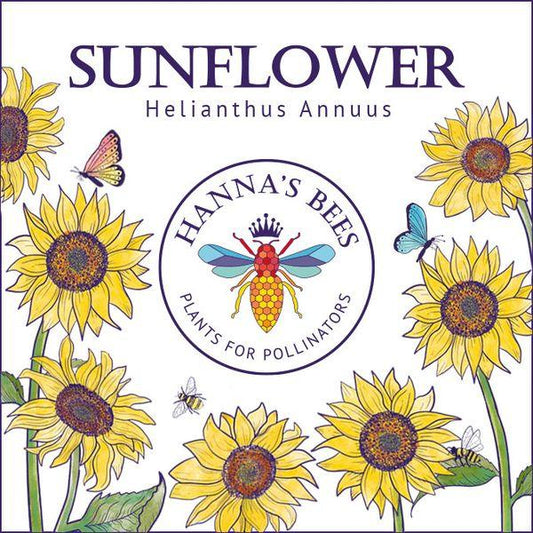 Hanna’s Bees - Sunflowers