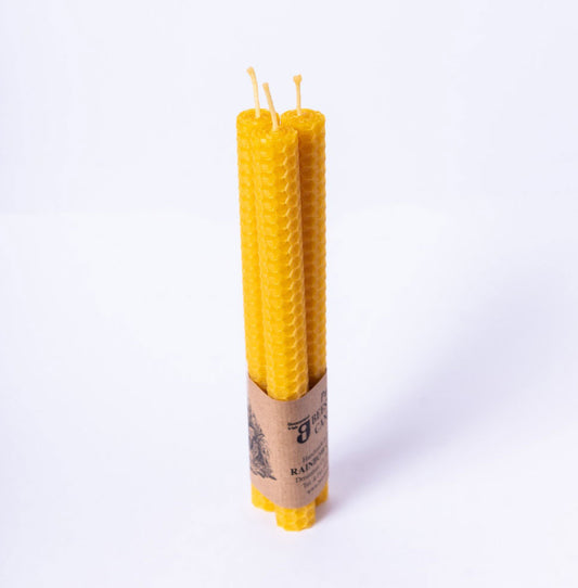 Beeswax cylinder candle - pack of 3