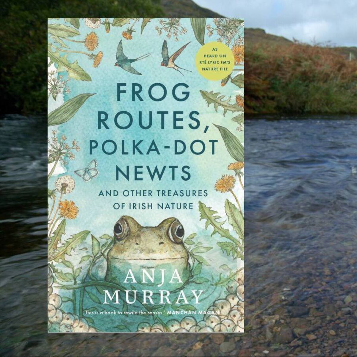Frog routes, Polka dot newts & Other Treasures of Irish Nature