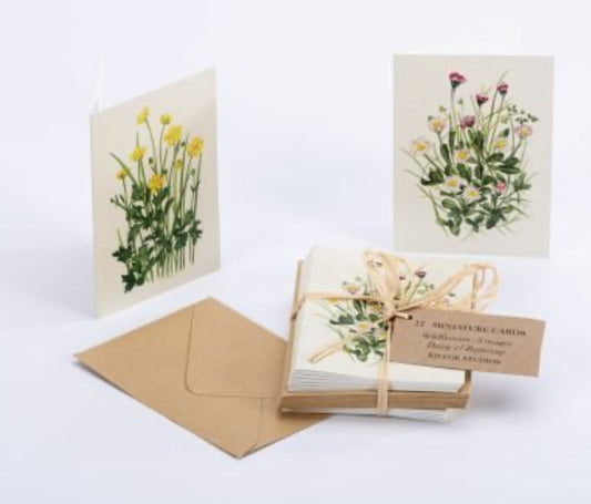 Mini cards – 12 pack Wildflowers - Kilcoe studios