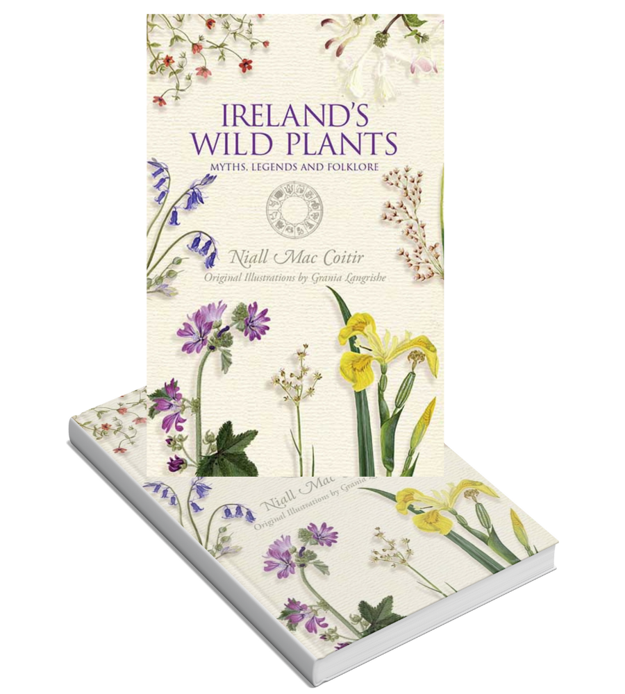 Ireland's Wild Plants