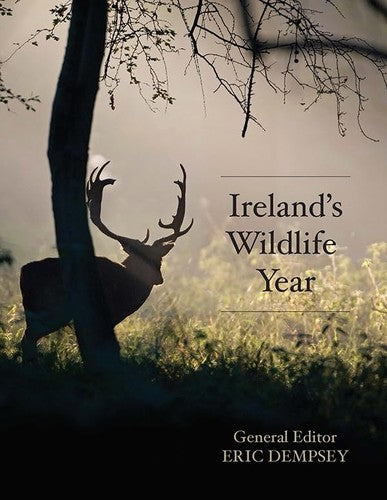 Ireland's Wildlife Year