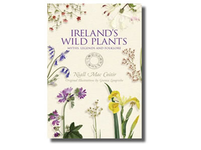 Ireland's Wild Plants