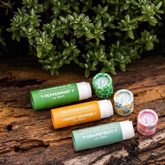 Collection of lip balm tubes on a wooden surface with greenery in the background
