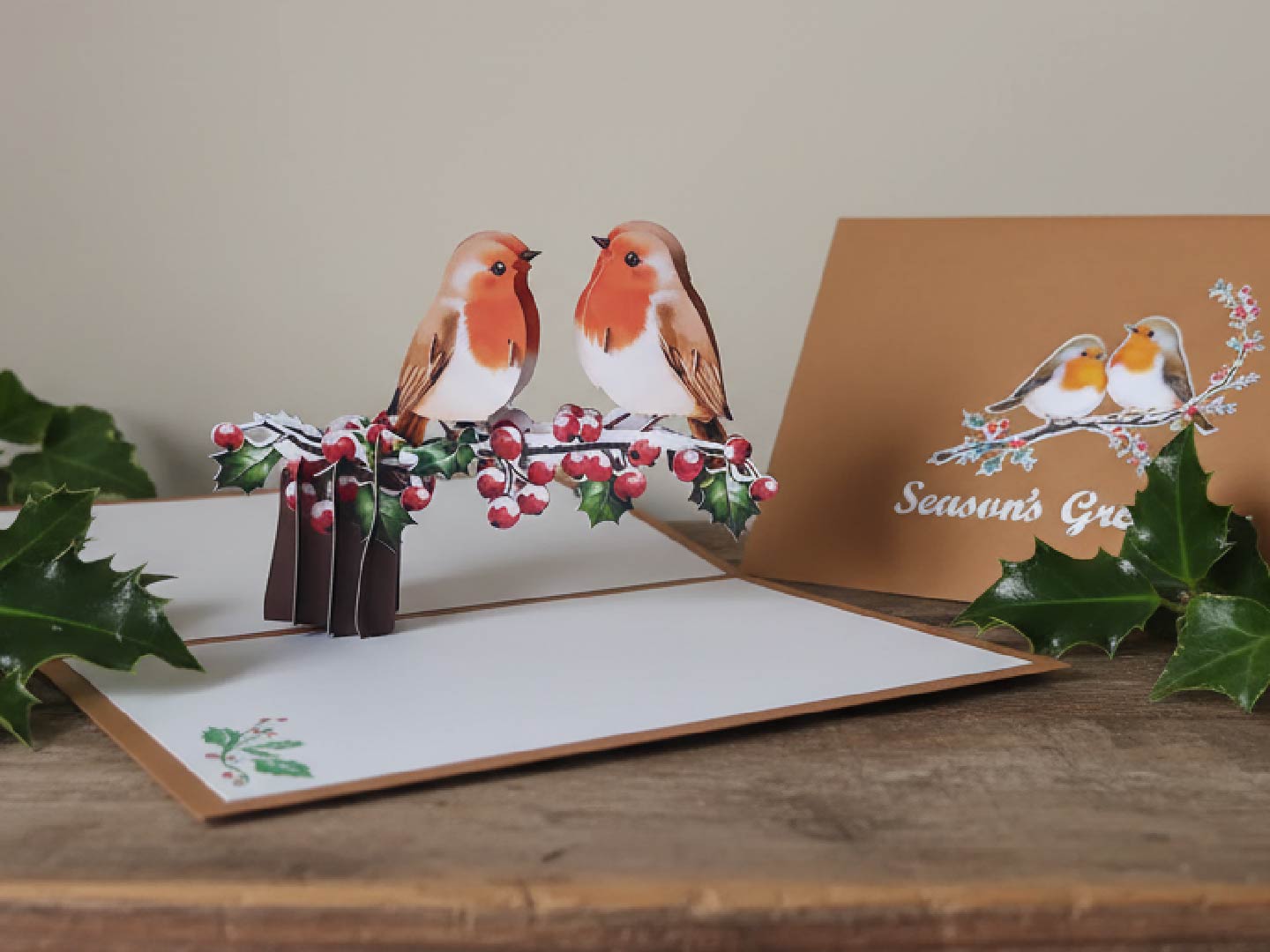 Christmas Robins Duo Pop-up card