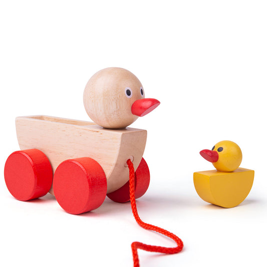Duck & Duckling Pull along toy