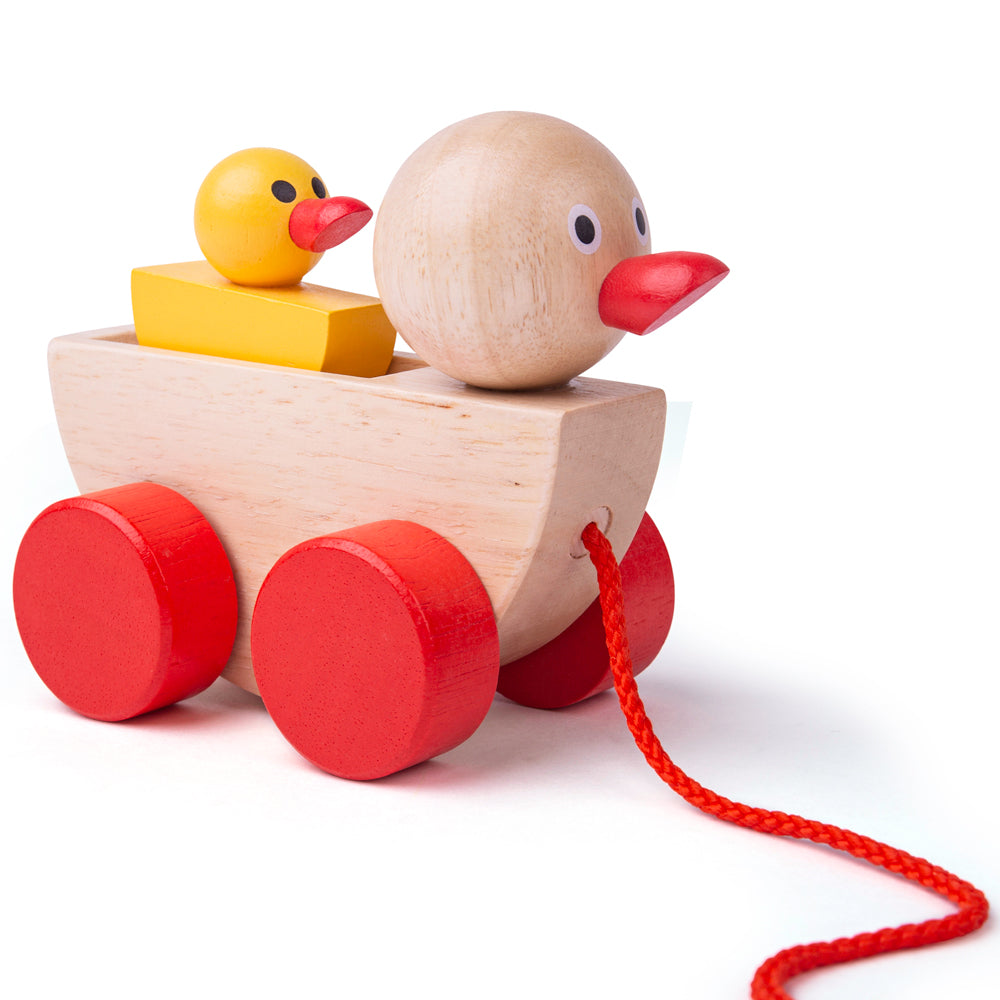 Duck & Duckling Pull along toy