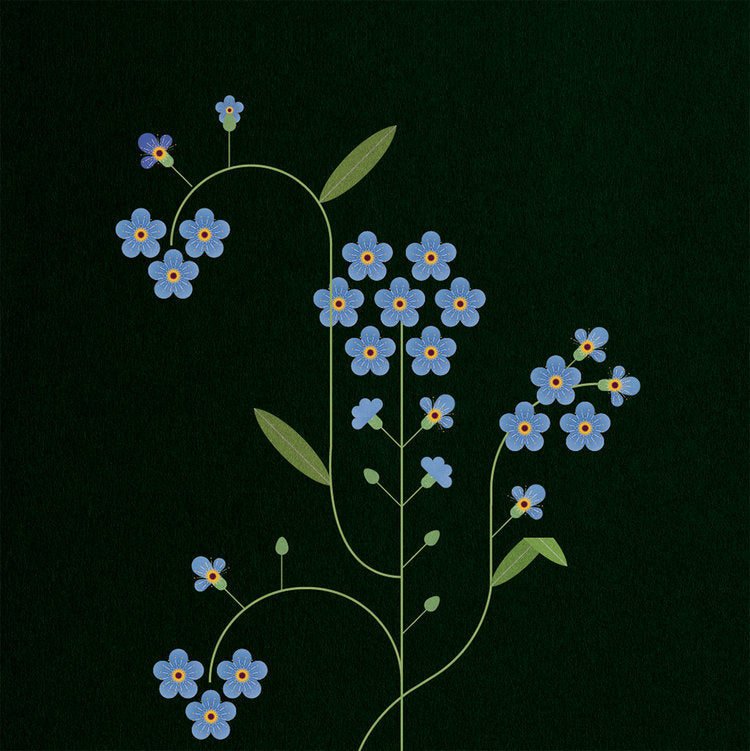 Forget-me-not Print by Sally Caulwell