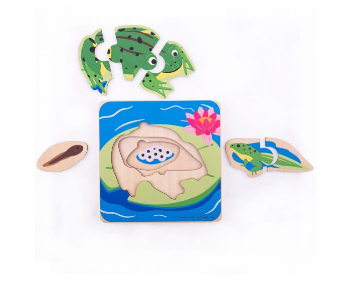 Frog Lifecycle Layer Puzzle