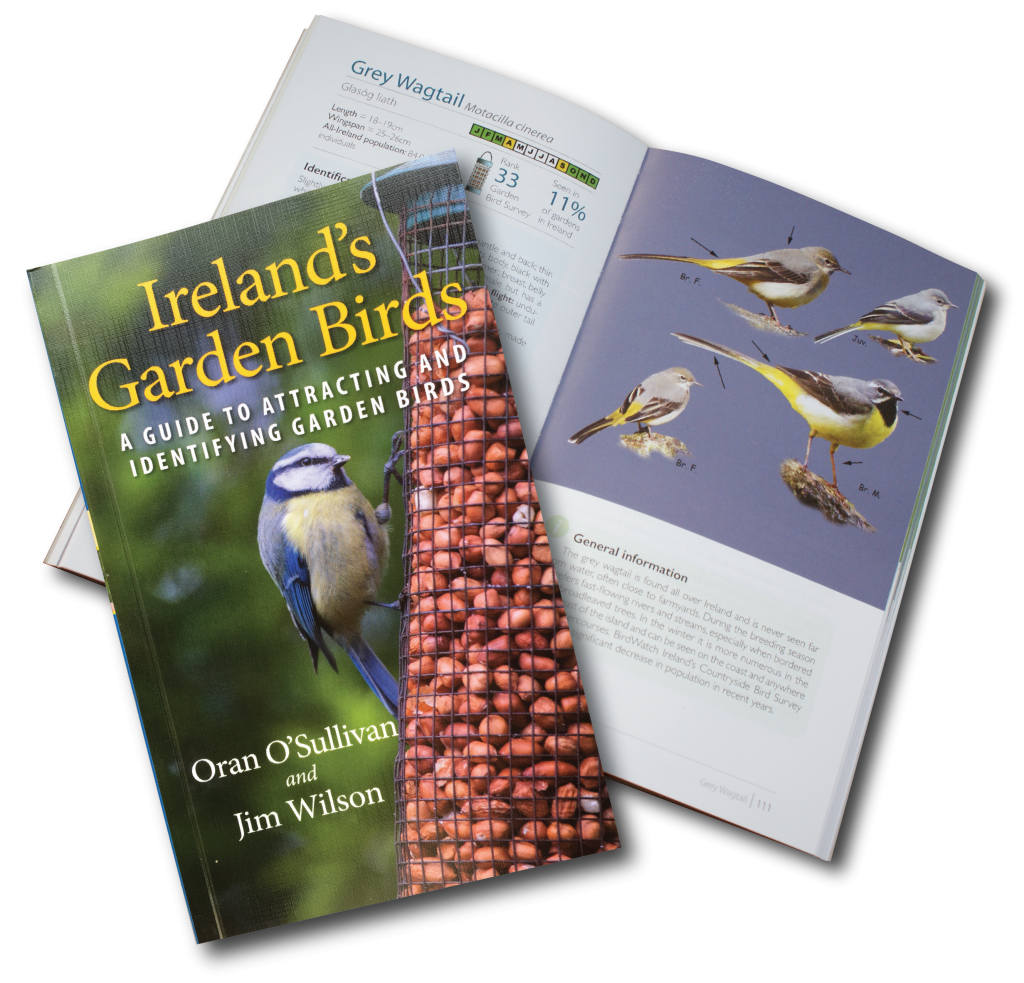 Ireland's Garden Birds