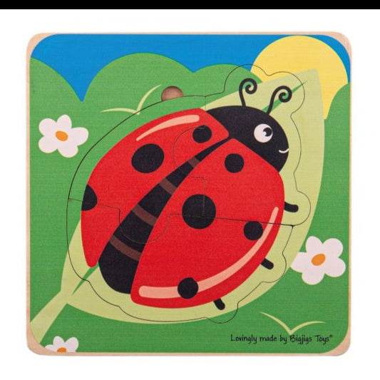 Ladybird Lifecycle Layer Puzzle