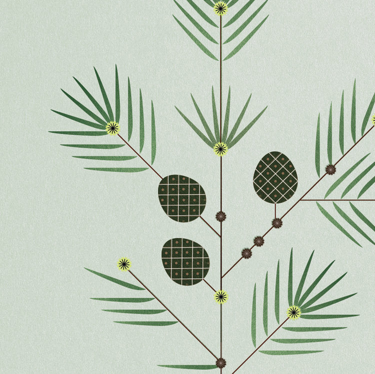 Larch Print by Sally Caulwell