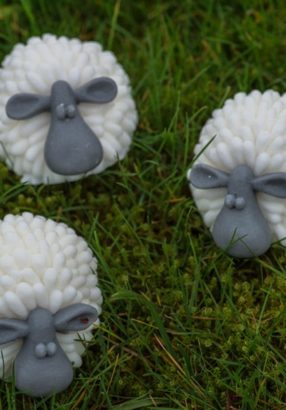 'The Curragh Sheep' soap with gift box