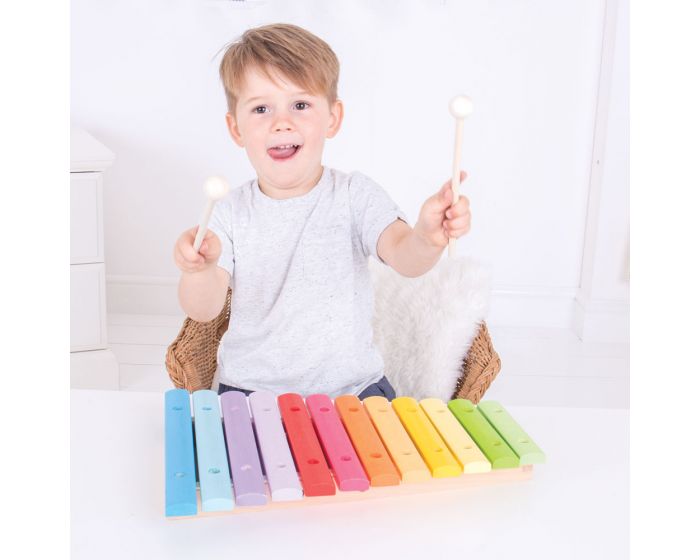 Colourful wooden xylophone